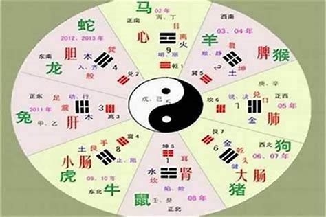 豪字五行|豪字的五行属性是什么